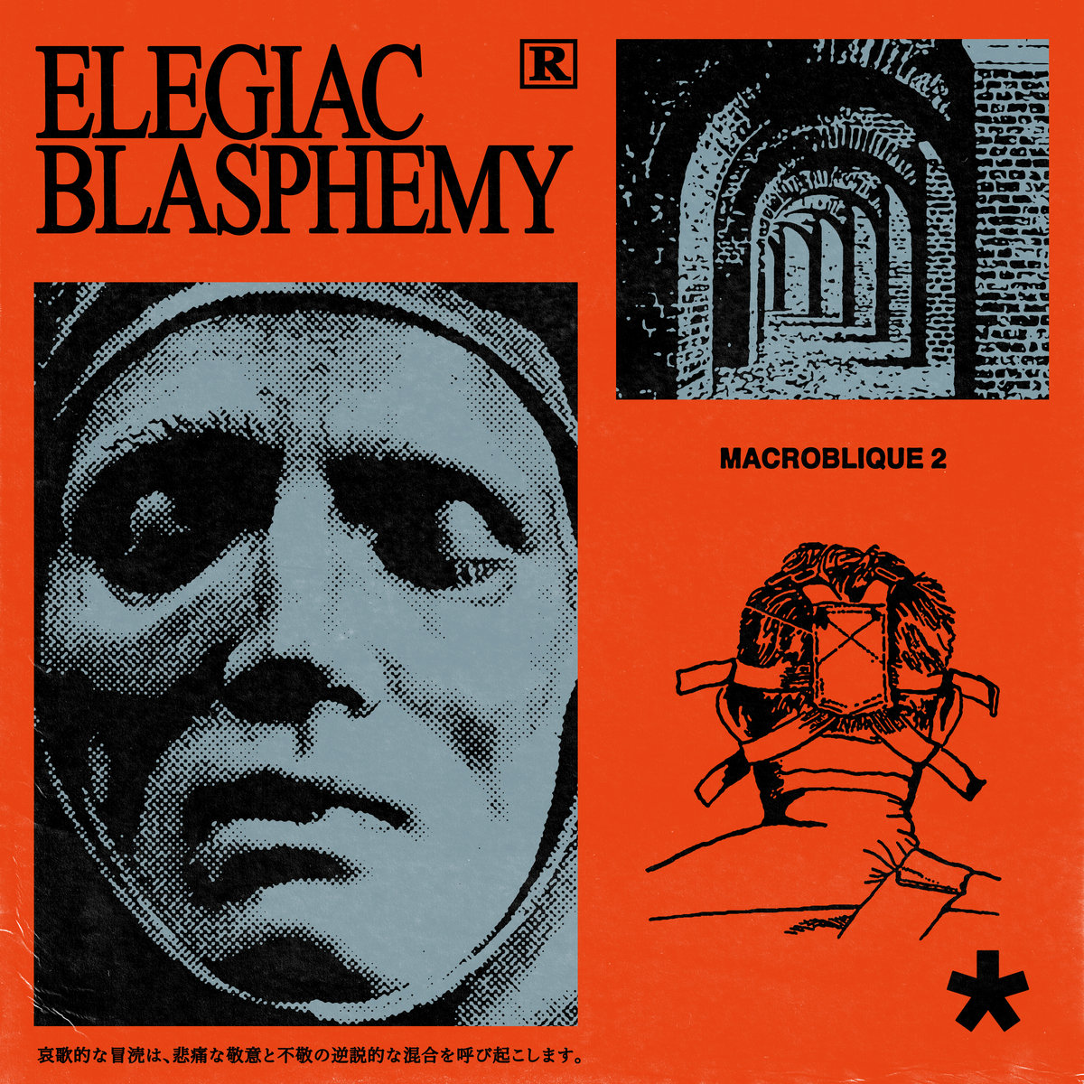 Cover Art of the album'elegaic blasphemy' ;-;